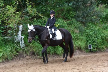Bild 1161 - WBO-Turnier am 18.9.11